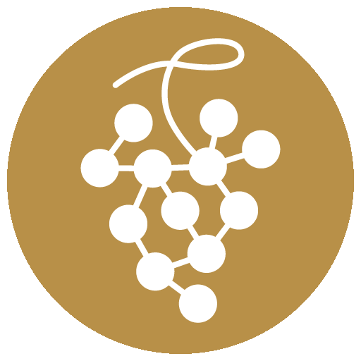 Mappavini est une entreprise spécialisée dans la cartographie viticole de précision, en activité depuis 2017.